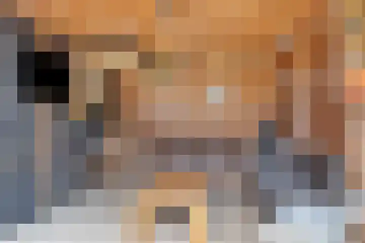 Reviusstraat 2 Aalten thumbnail 38