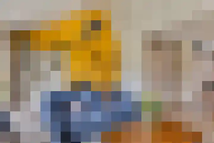 Reviusstraat 2 Aalten thumbnail 5