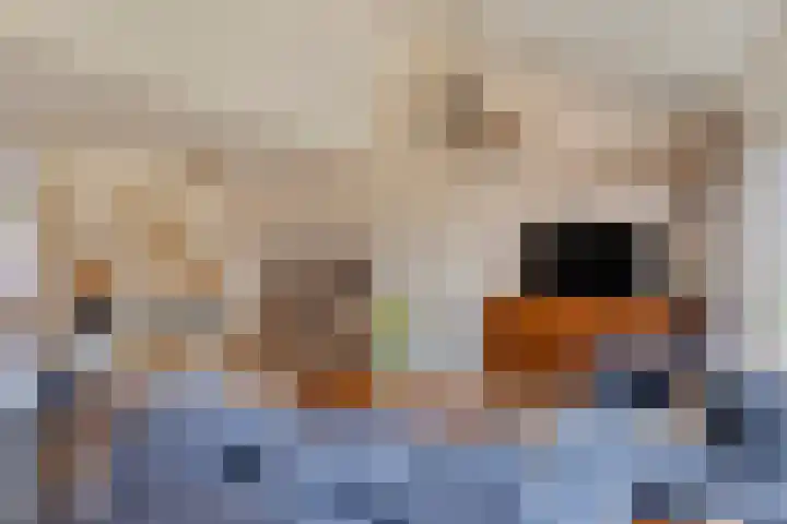 Reviusstraat 2 Aalten thumbnail 9