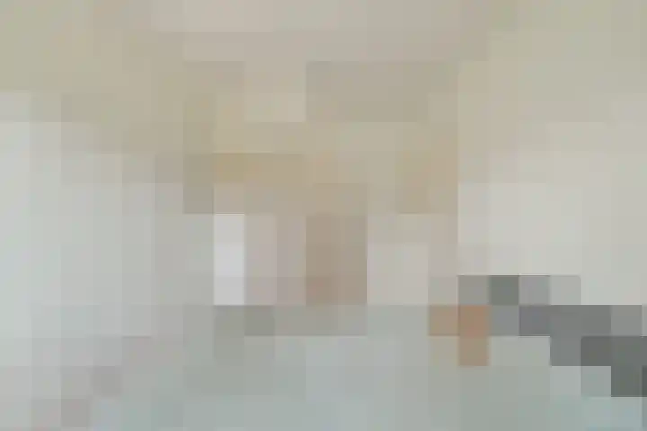 Reviusstraat 22 Alkmaar thumbnail 20
