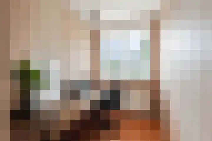 Reviusstraat 22 Alkmaar thumbnail 21