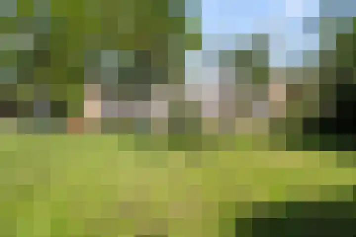 Reviusstraat 22 Alkmaar thumbnail 29