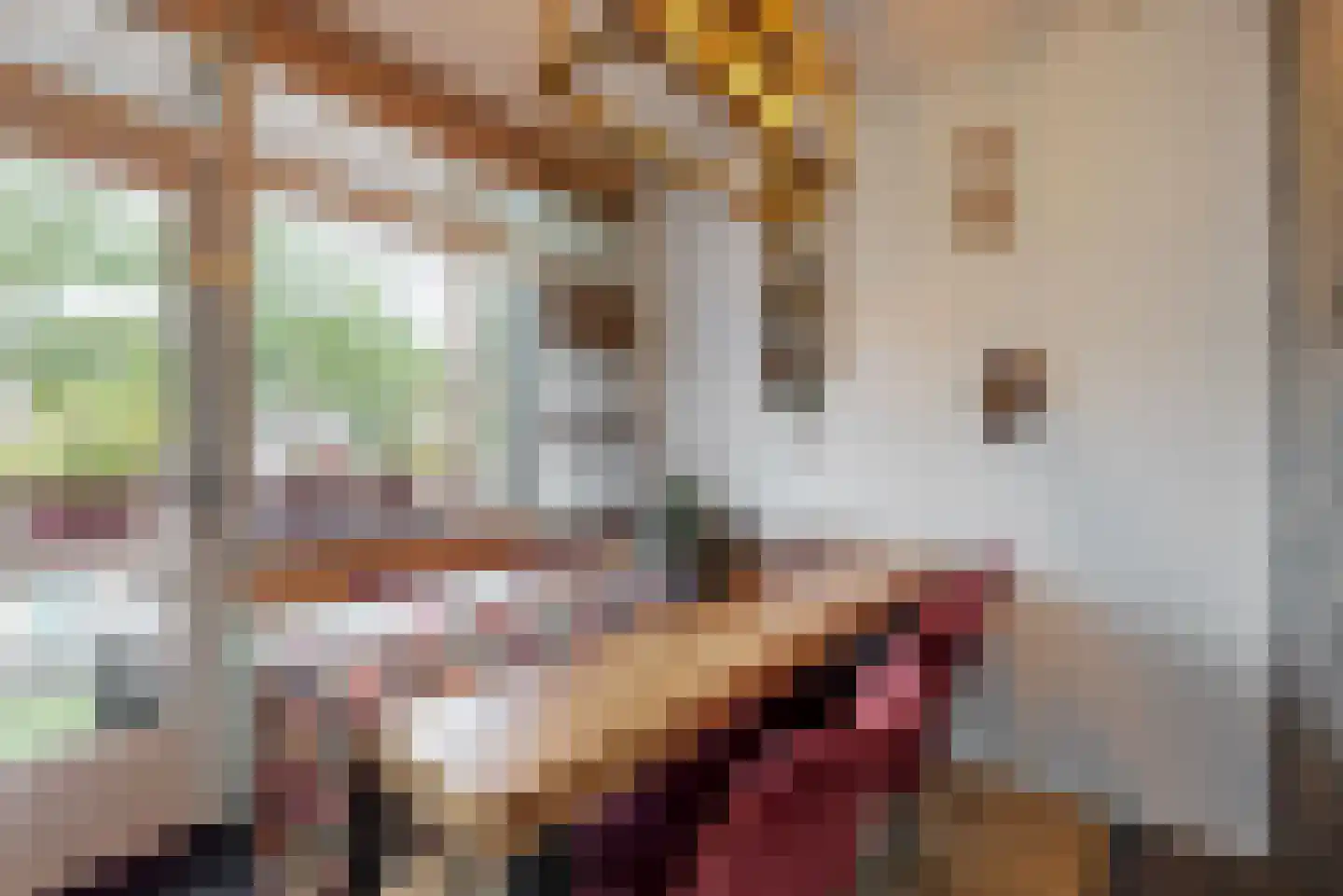 Reviusstraat 24 Alkmaar thumbnail 11