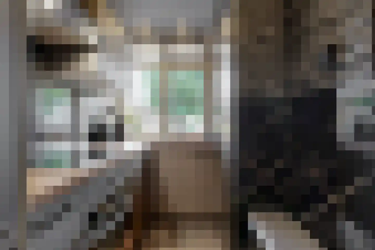 Reviusstraat 24 Alkmaar thumbnail 11