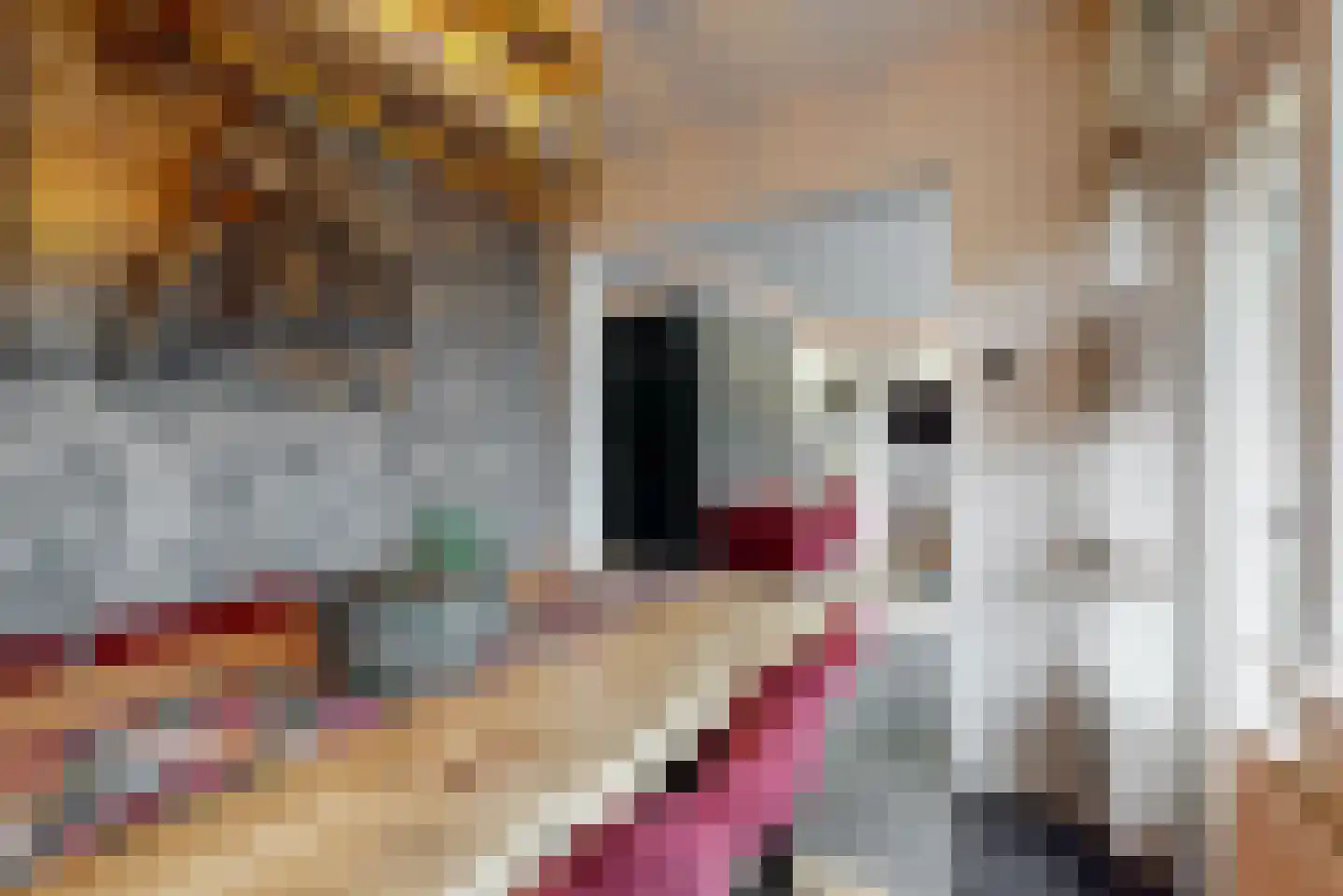 Reviusstraat 24 Alkmaar thumbnail 13
