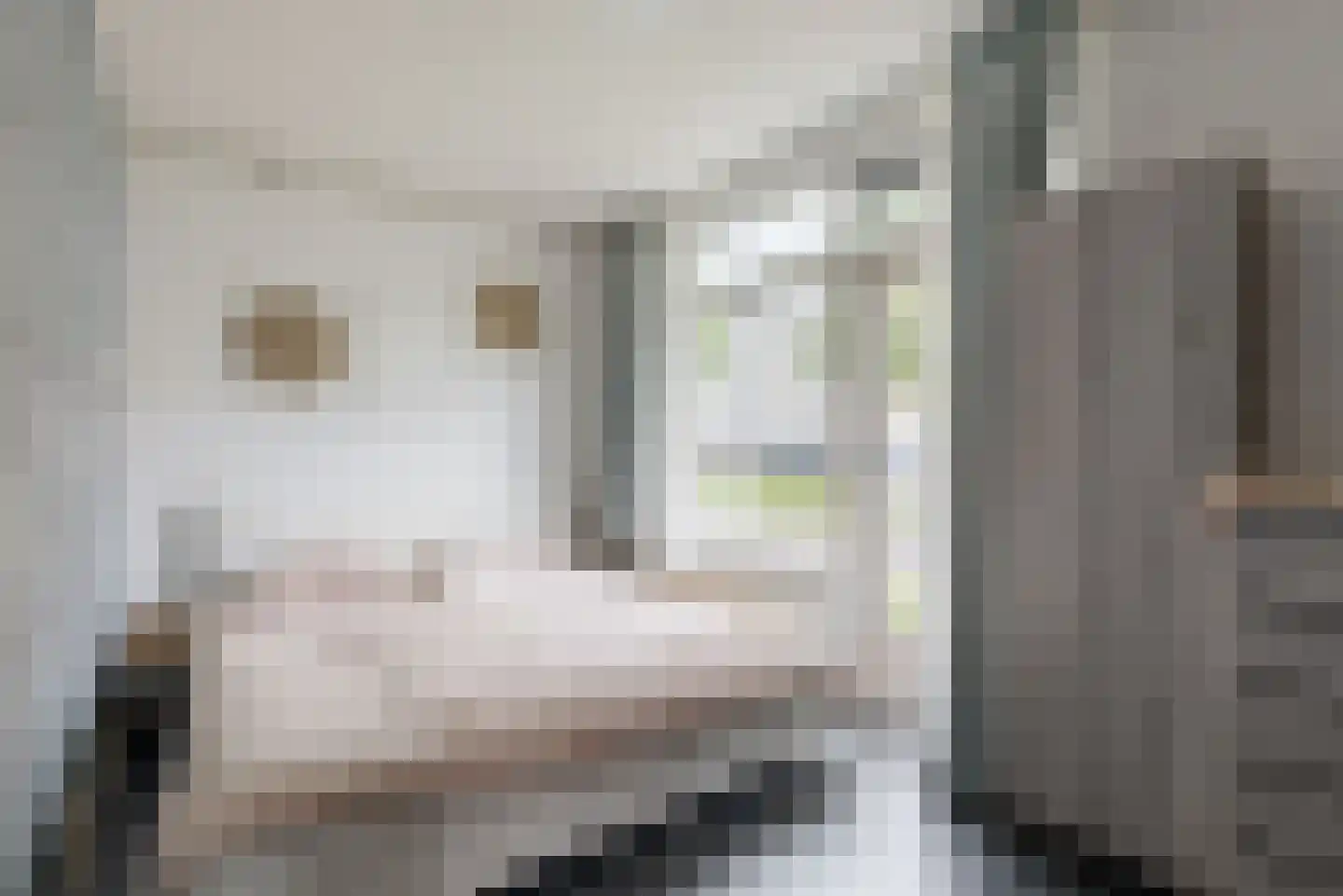 Reviusstraat 24 Alkmaar thumbnail 16