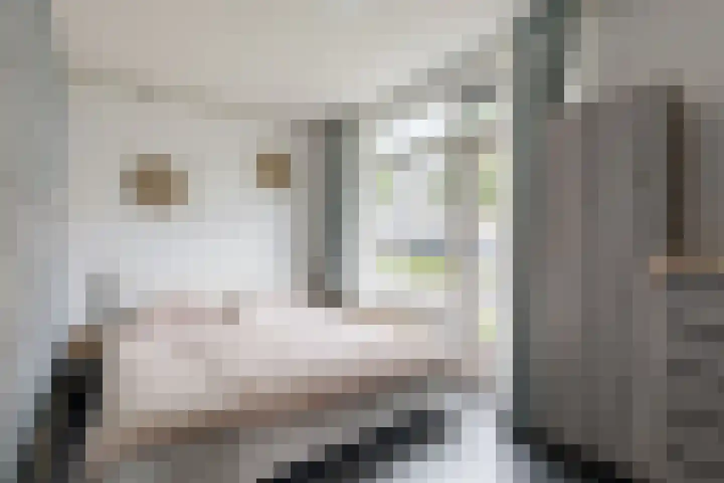 Reviusstraat 24 Alkmaar thumbnail 17