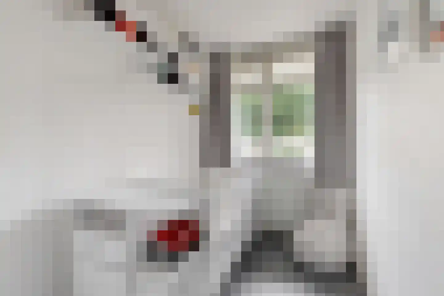 Reviusstraat 24 Alkmaar thumbnail 17