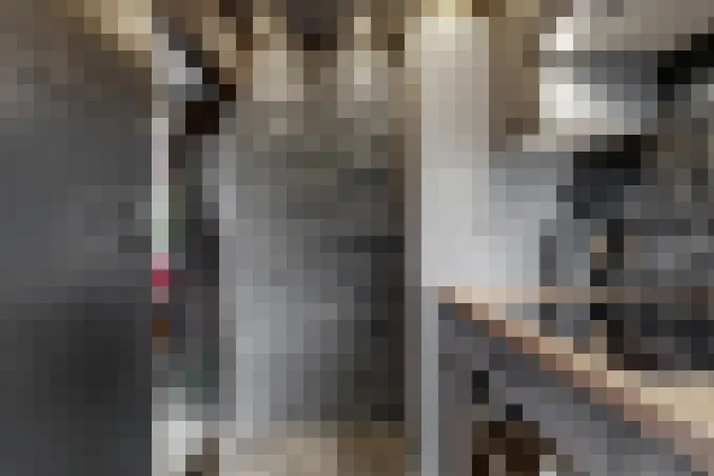 Reviusstraat 24 Alkmaar thumbnail 17