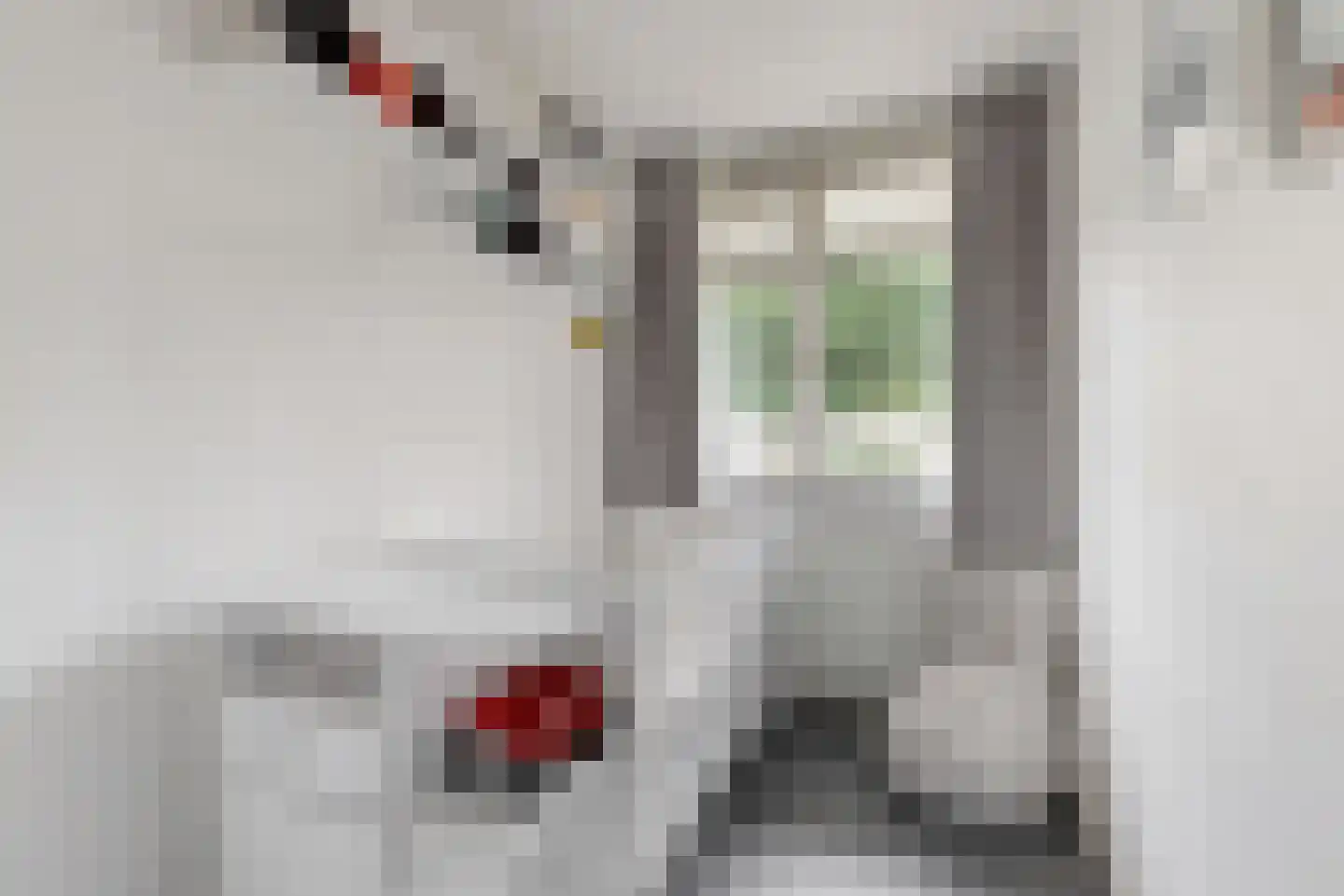 Reviusstraat 24 Alkmaar thumbnail 18