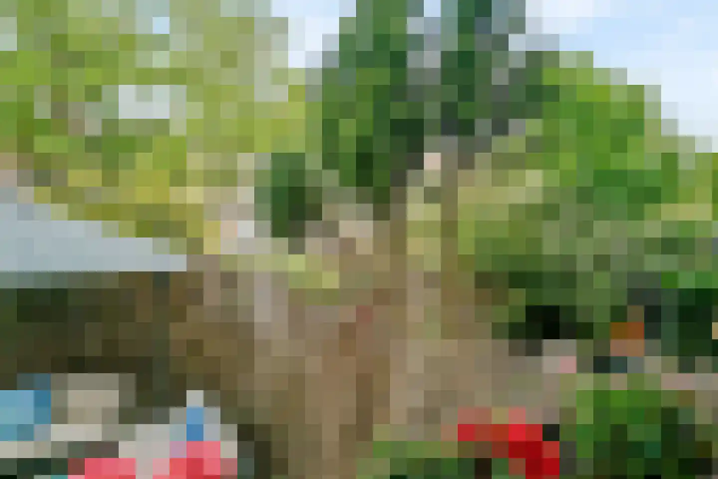 Reviusstraat 24 Alkmaar thumbnail 32