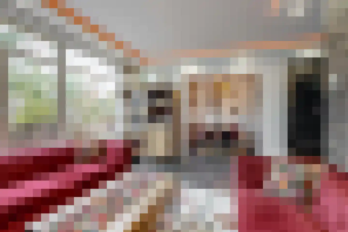 Reviusstraat 24 Alkmaar thumbnail 4