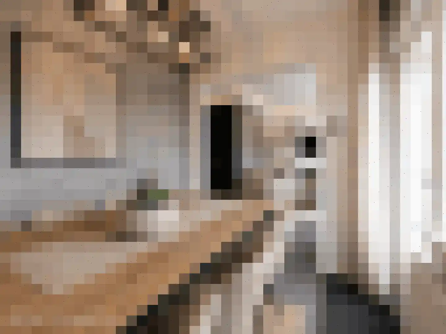 Reviusstraat 24 Alkmaar thumbnail 6
