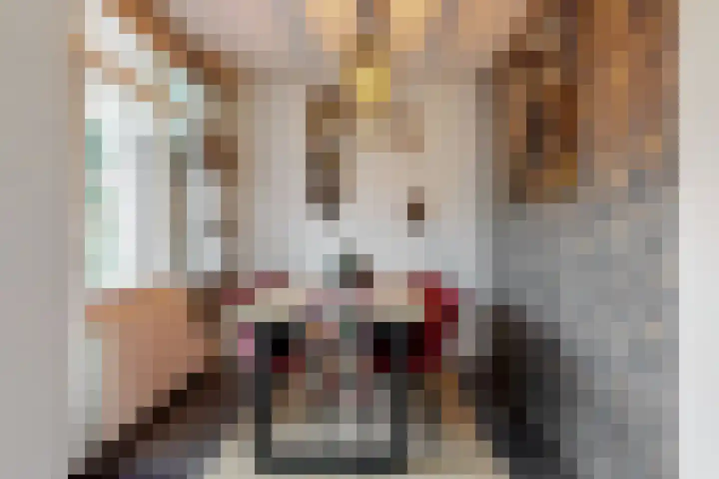 Reviusstraat 24 Alkmaar thumbnail 9