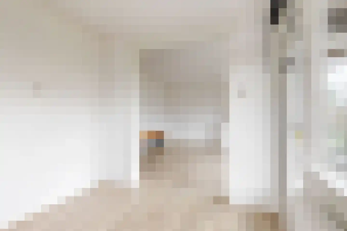 Reviusstraat 26 Alkmaar thumbnail 14