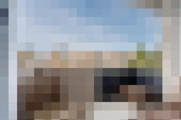 Reviusstraat 36 Alkmaar thumbnail 18
