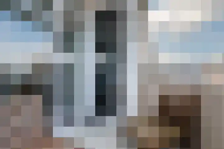 Reviusstraat 36 Alkmaar thumbnail 19