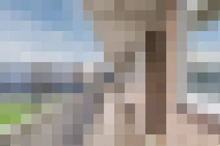 Reviusstraat 36 Alkmaar thumbnail 21