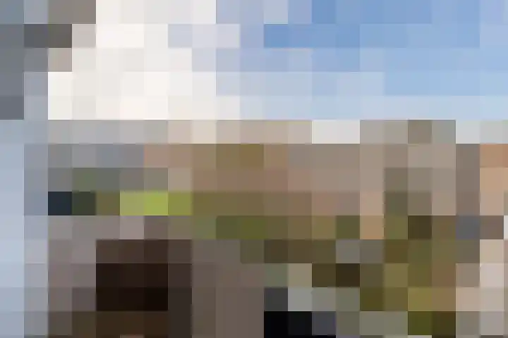 Reviusstraat 36 Alkmaar thumbnail 23