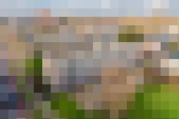 Reviusstraat 36 Alkmaar thumbnail 24