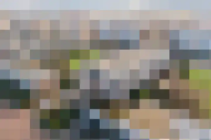 Reviusstraat 36 Alkmaar thumbnail 27