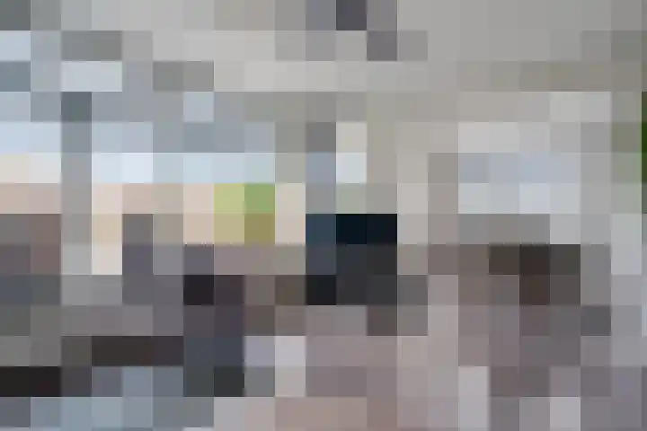 Reviusstraat 36 Alkmaar thumbnail 5