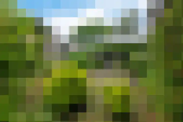 Reviusstraat 56 Hengelo thumbnail 32