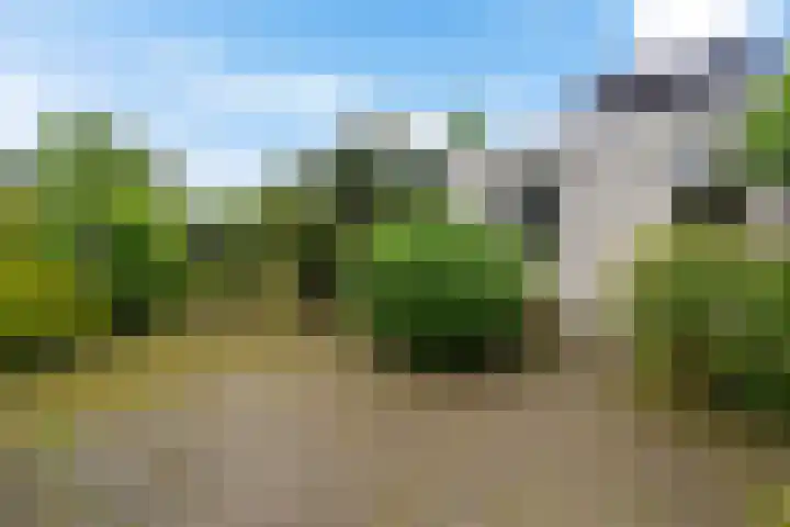 Reviusstraat 56 Hengelo thumbnail 33