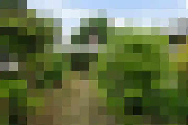 Reviusstraat 56 Hengelo thumbnail 34