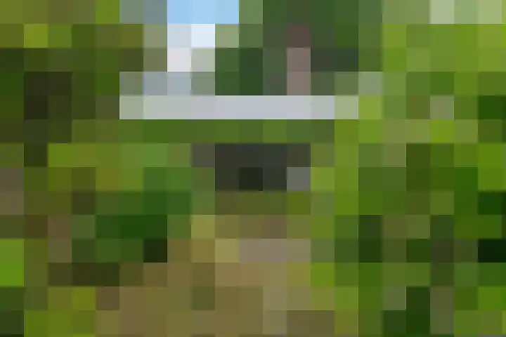 Reviusstraat 56 Hengelo thumbnail 35