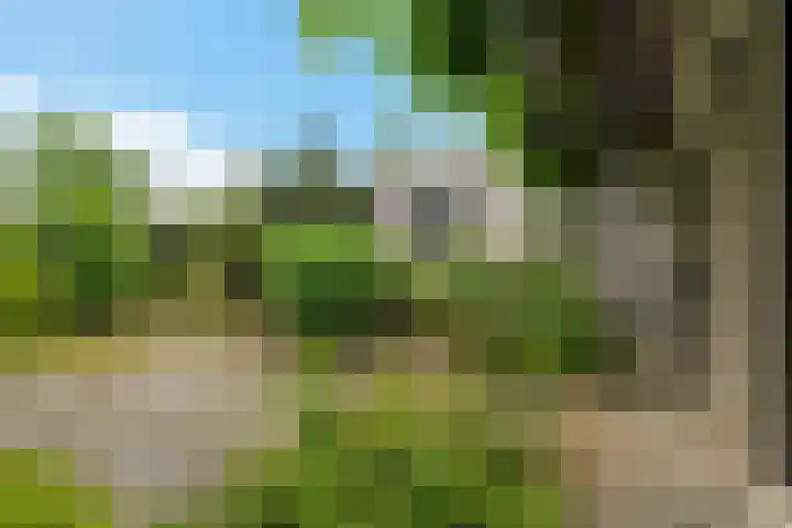 Reviusstraat 56 Hengelo thumbnail 36