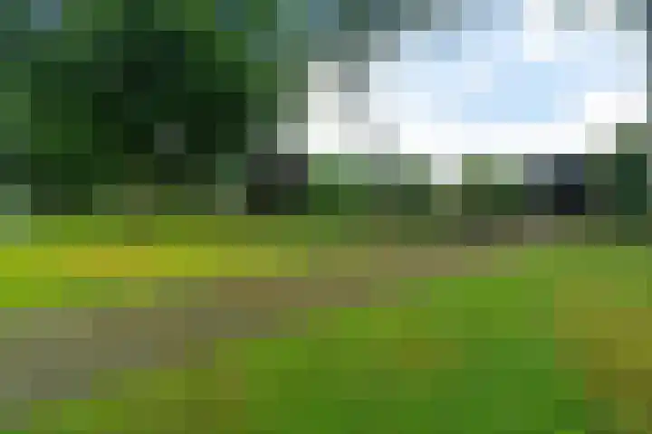 Reviusstraat 56 Hengelo thumbnail 37