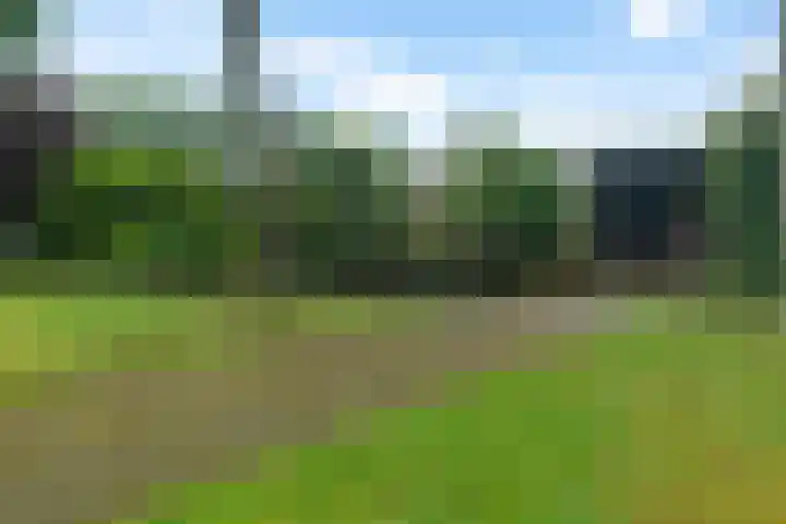 Reviusstraat 56 Hengelo thumbnail 38