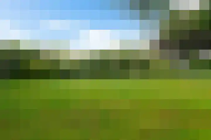 Reviusstraat 56 Hengelo thumbnail 39