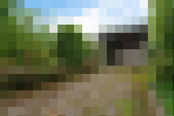 Reviusstraat 56 Hengelo thumbnail 42
