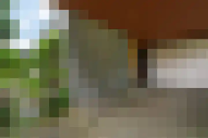 Reviusstraat 56 Hengelo thumbnail 43