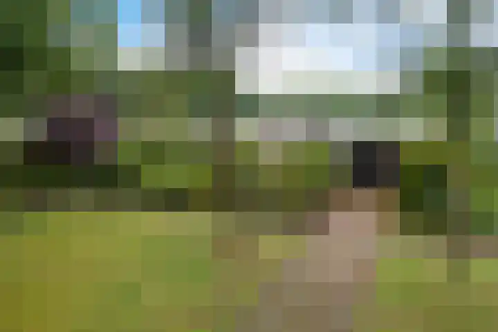 Reviusstraat 56 Hengelo thumbnail 48