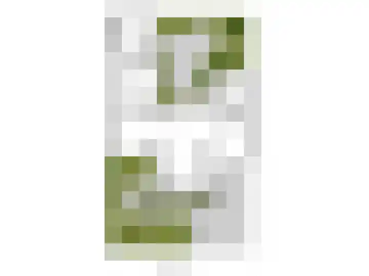 Reviusstraat 56 Hengelo thumbnail 51