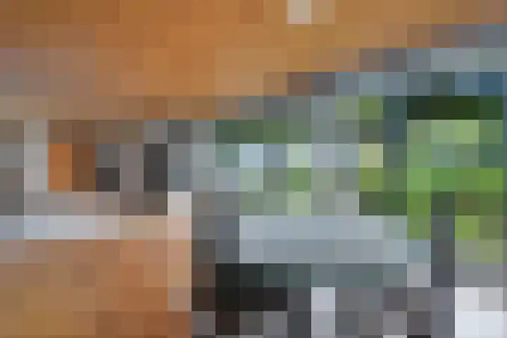 Reviusstraat 56 Hengelo thumbnail 7