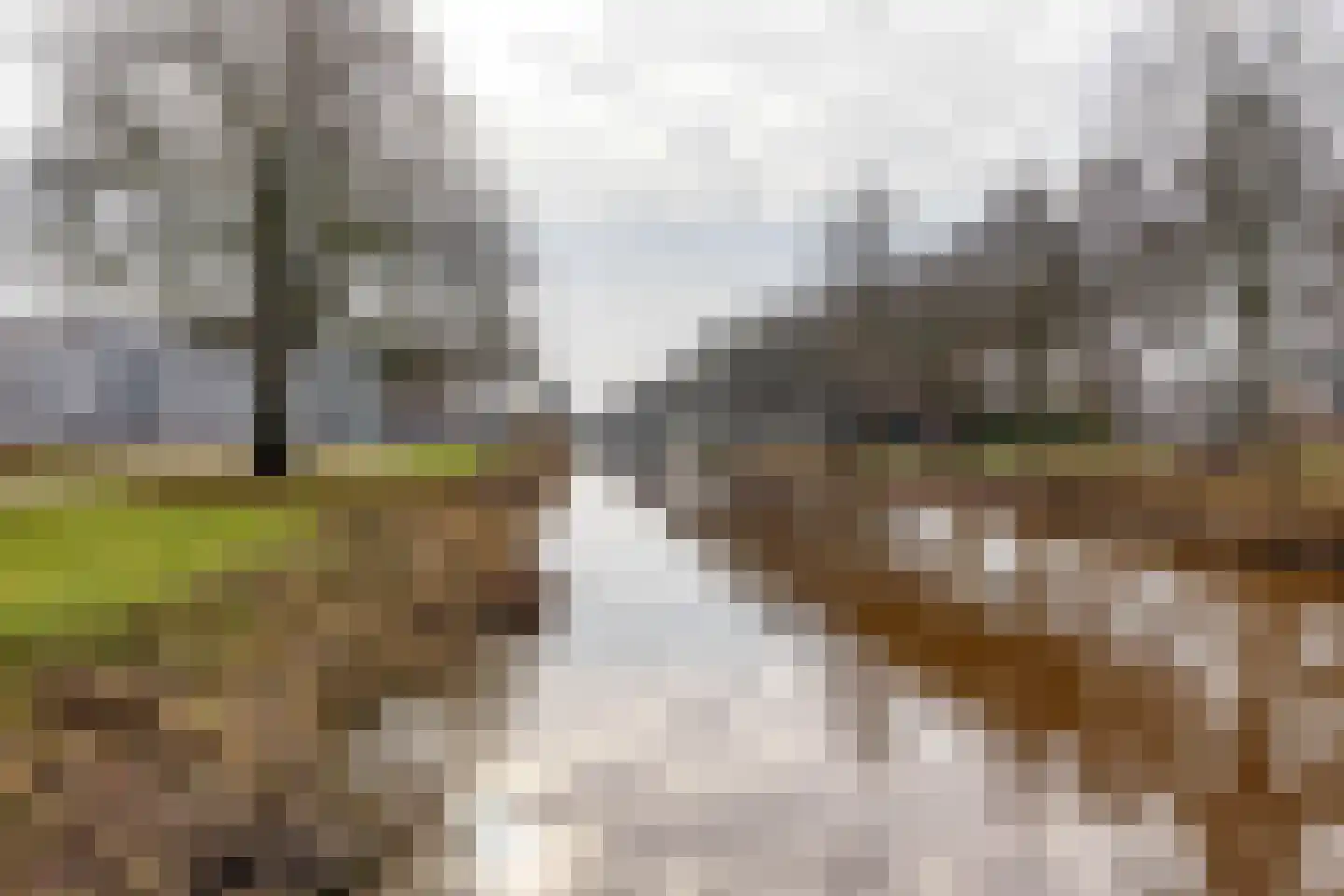 Reviusstraat 56 Hoogezand thumbnail 26
