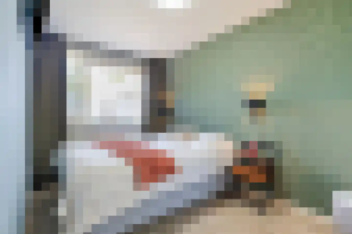Reviusstraat 68 Alkmaar thumbnail 26