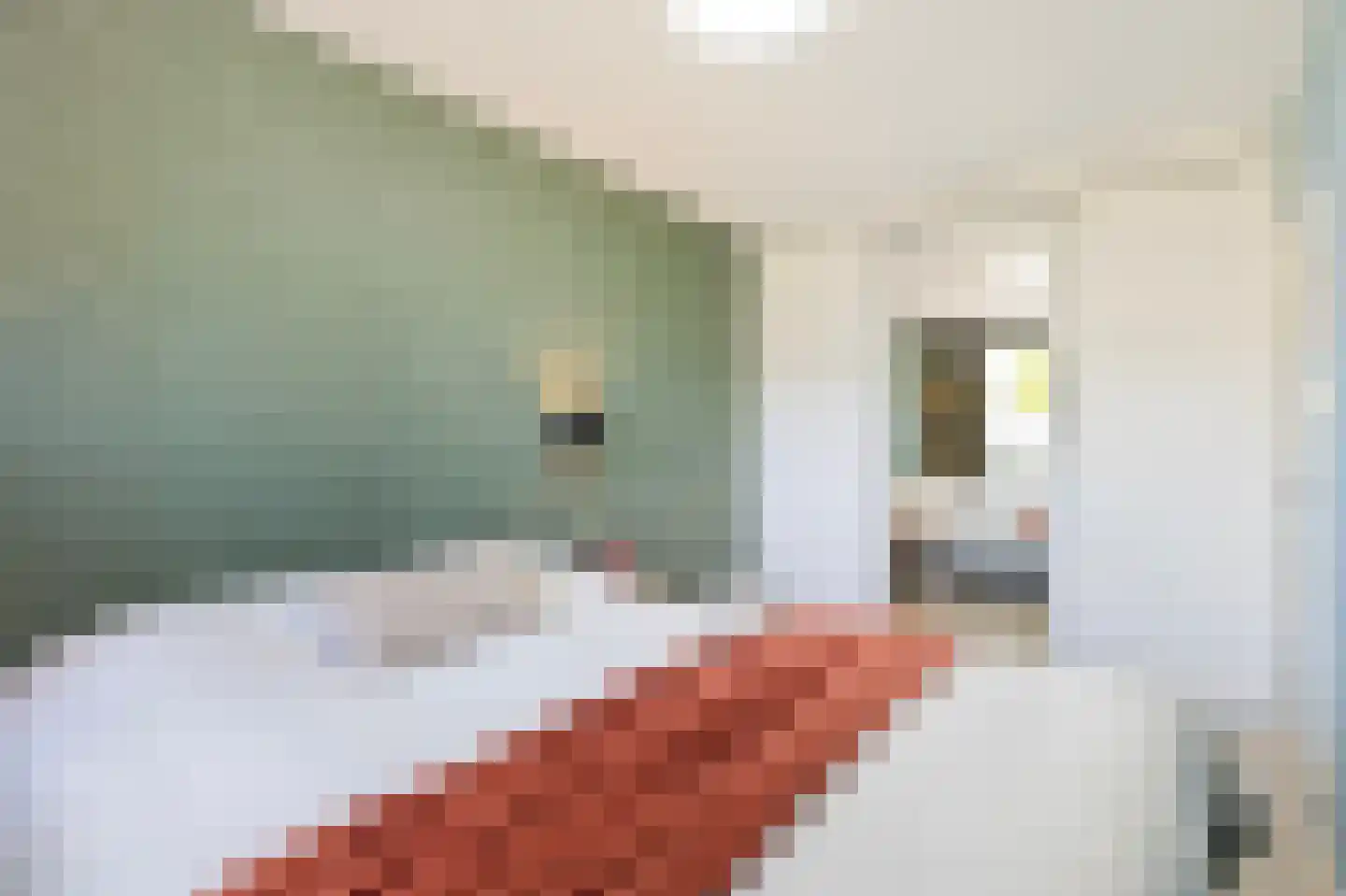 Reviusstraat 68 Alkmaar thumbnail 27