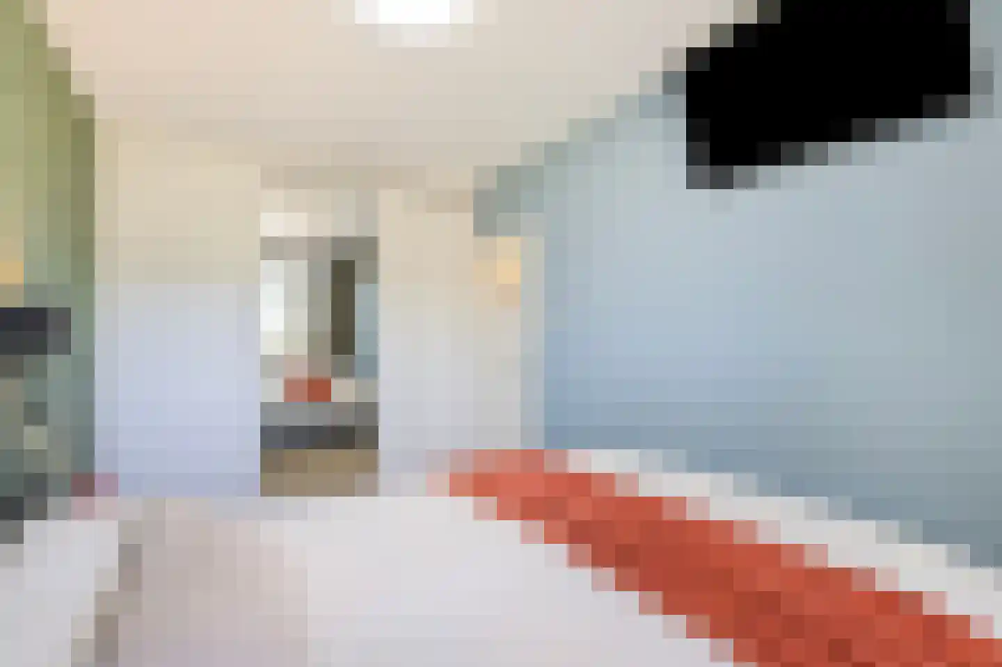 Reviusstraat 68 Alkmaar thumbnail 28