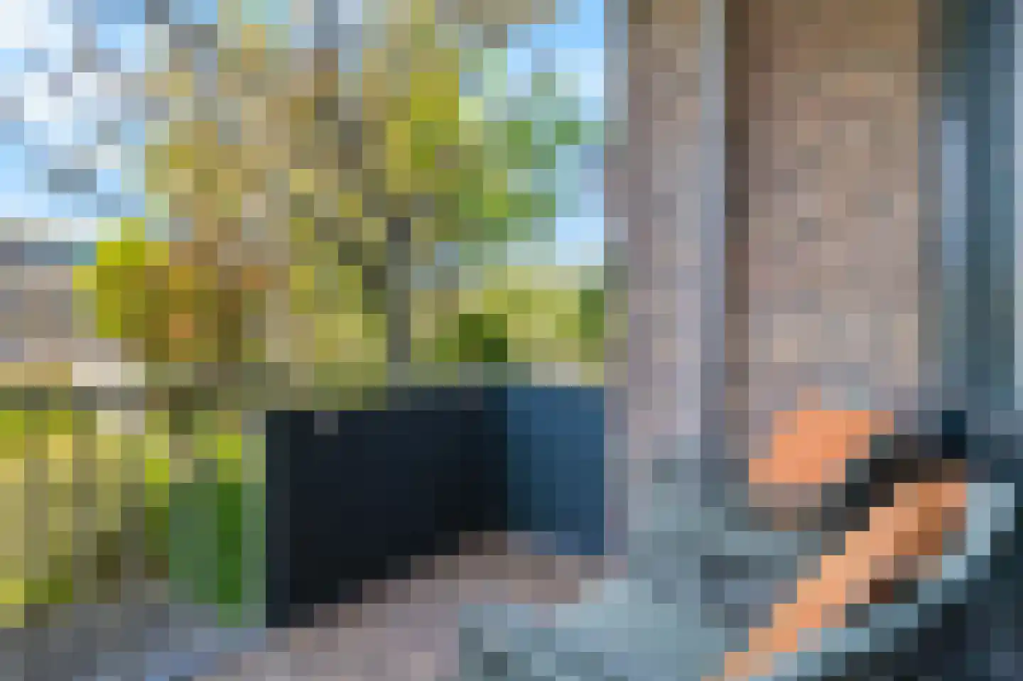 Reviusstraat 68 Alkmaar thumbnail 34
