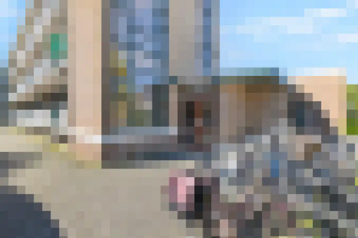 Reviusstraat 68 Alkmaar thumbnail 7