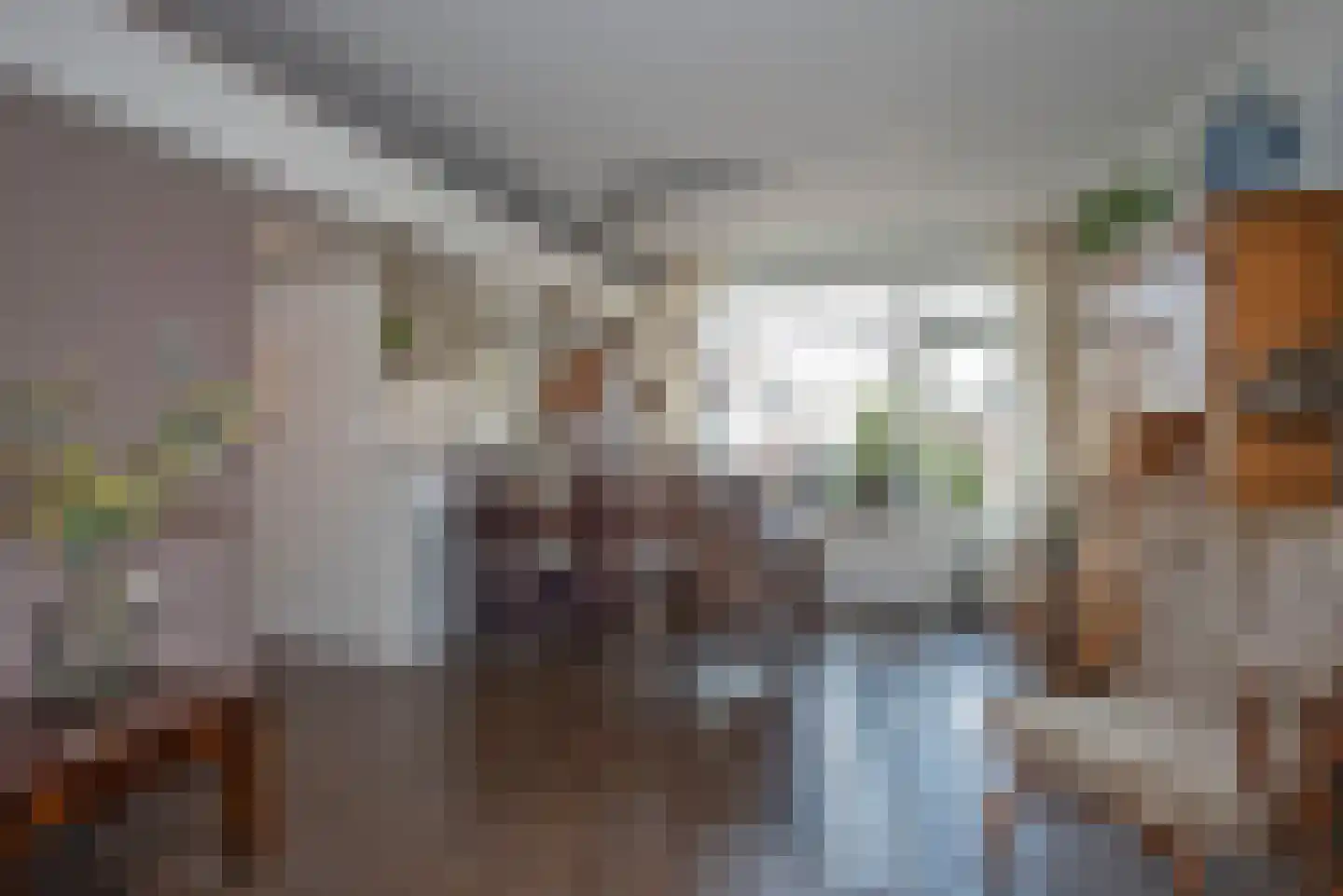 Reviusstraat 83 Hengelo thumbnail 11