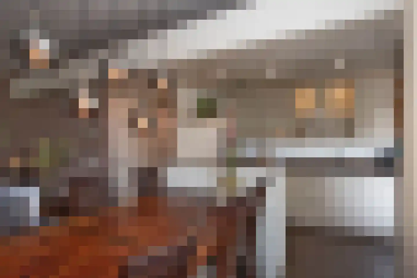 Reviusstraat 83 Hengelo thumbnail 13