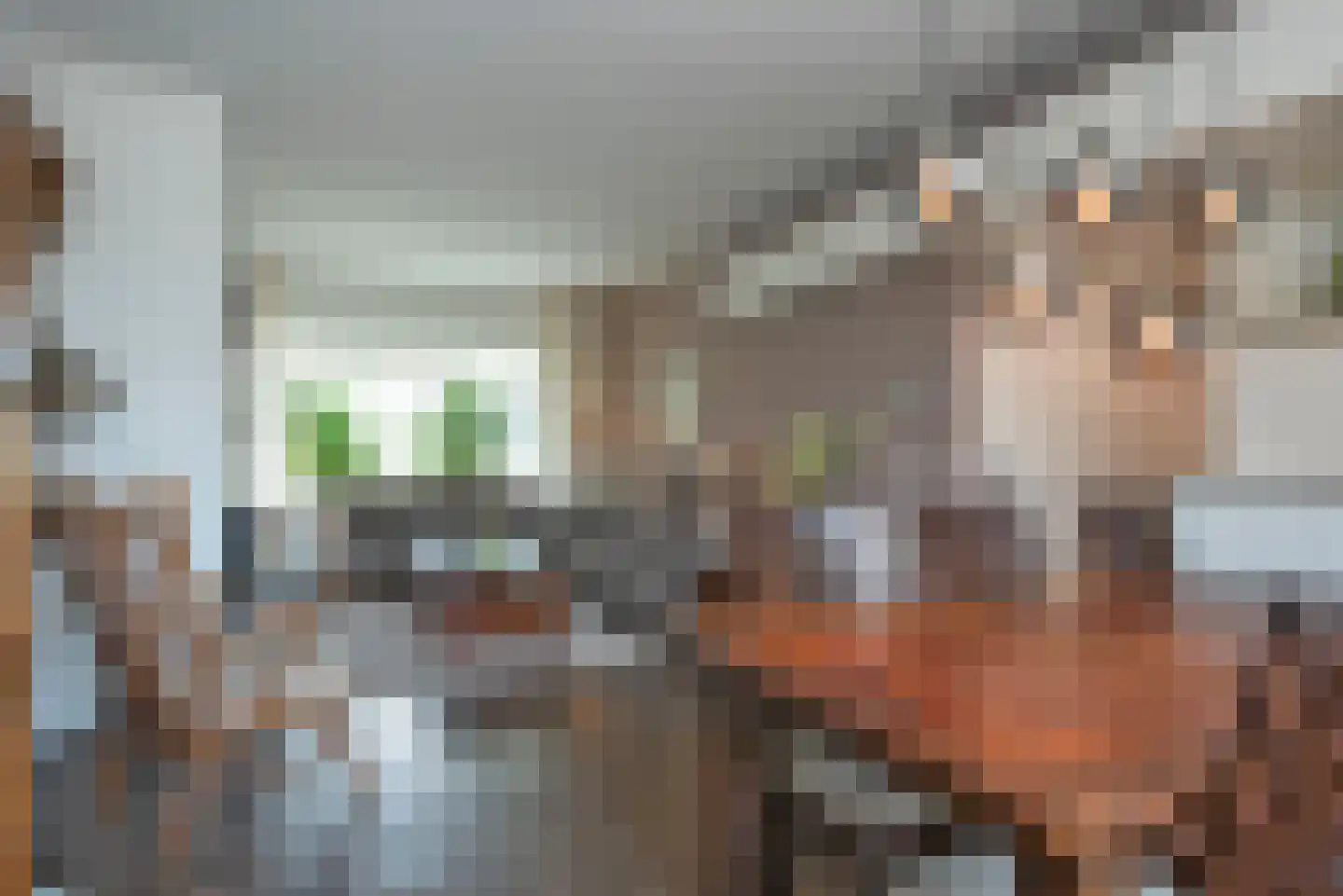 Reviusstraat 83 Hengelo thumbnail 15