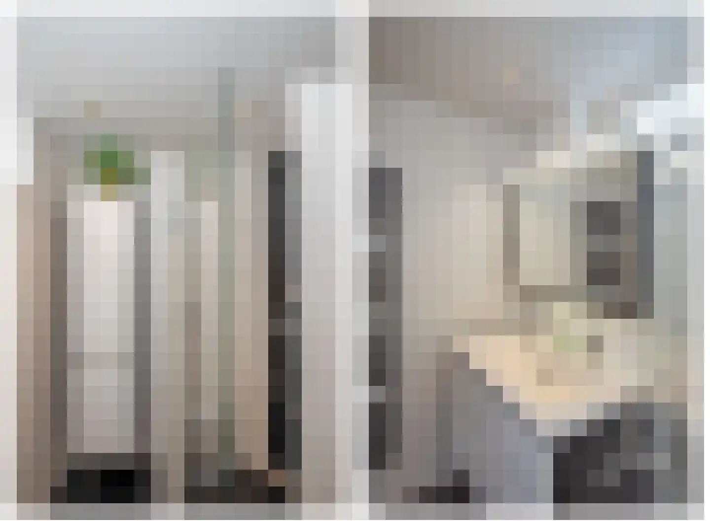 Reviusstraat 83 Hengelo thumbnail 21