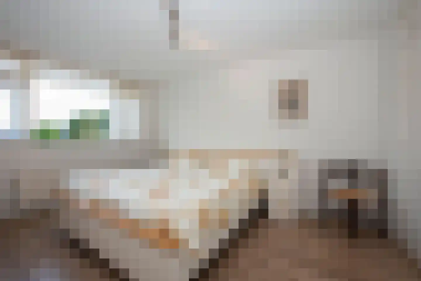 Reviusstraat 83 Hengelo thumbnail 26